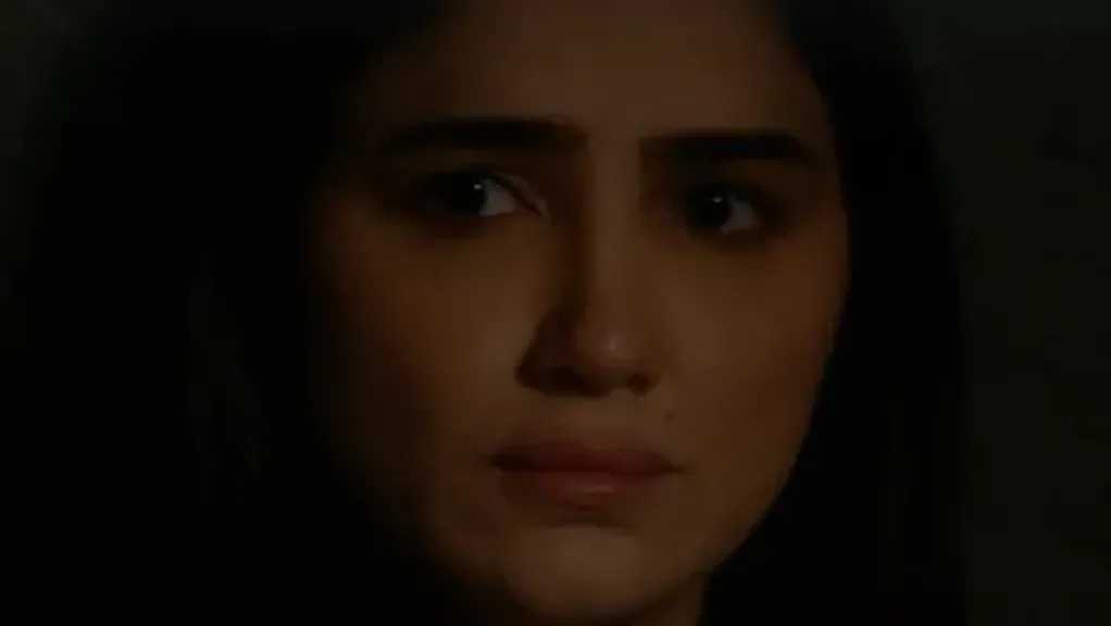 منصة “شاهد” تؤجل عرض الحلقة الأخيرة من مسلسل “الست موناليزا”