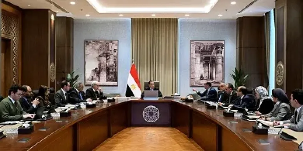 الحكومة 