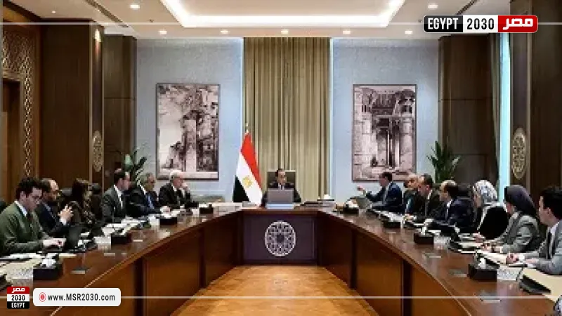 الحكومة 