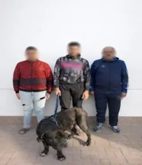 المتهمين 