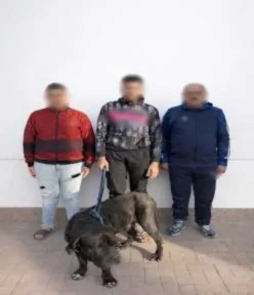 ضبط شخص وأسرته بالإسكندرية لتعديهم على سيدة واستخدام كلب في الترويع