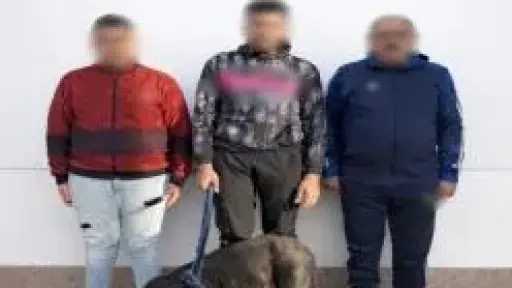 ضبط شخص وأسرته بالإسكندرية لتعديهم على سيدة واستخدام كلب في الترويع