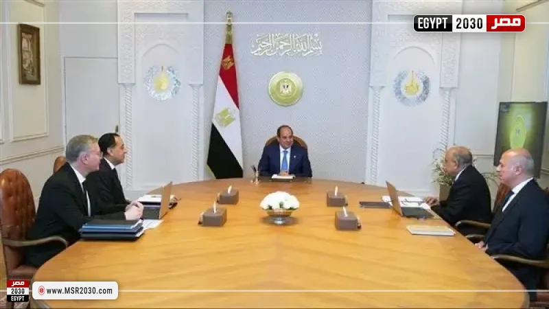 الرئيس السيسي خلال الاجتماع
