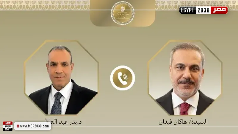 وزير الخارجية يؤكد رفض مصر الكامل لأي محاولات لاستهداف تركيا أو المساس بسيادتها