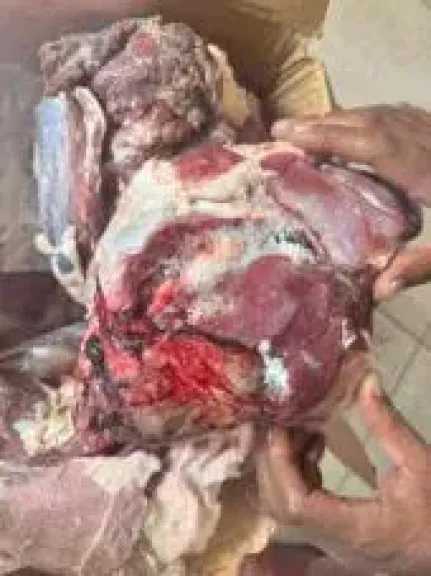 الزراعة تضبط أكثر من 4.3 طن من اللحوم والأسماك الفاسدة