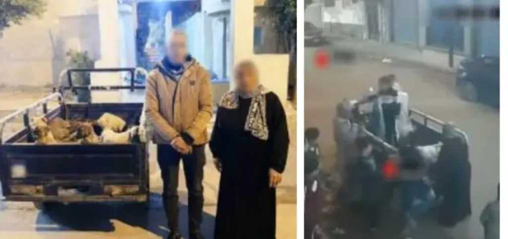 الداخلية تضبط سيدة وسائق تروسيكل بالإسكندرية عقب تداول فيديو جوال الكلاب