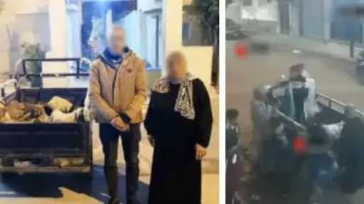 الداخلية تضبط سيدة وسائق تروسيكل بالإسكندرية عقب تداول فيديو جوال الكلاب