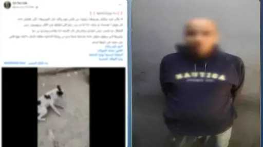 ضبط سائق اعتدى على كلب ضال بالبساتين