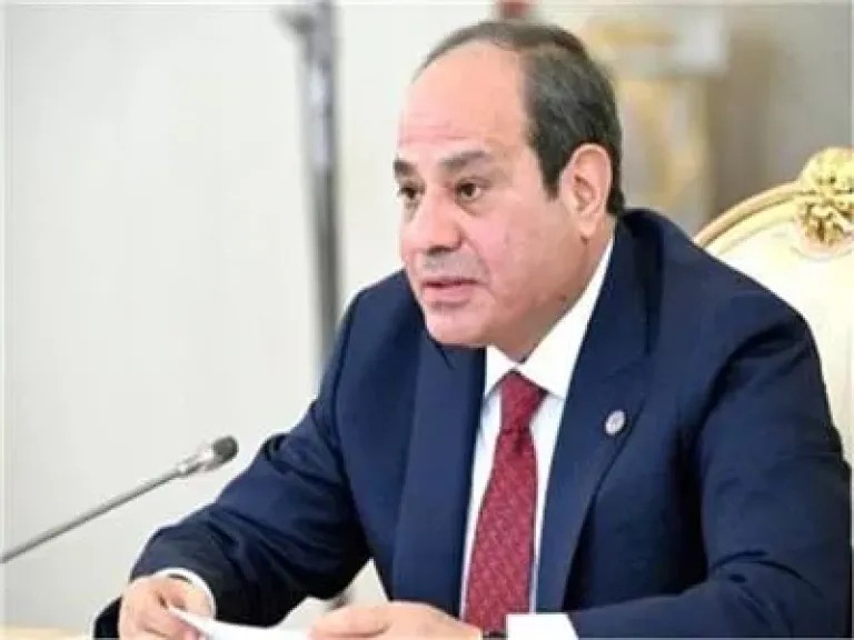 الرئيس السيسي 