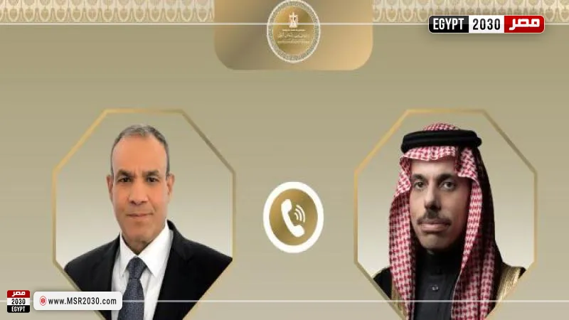 وزير الخارجية ونظيره السعودي