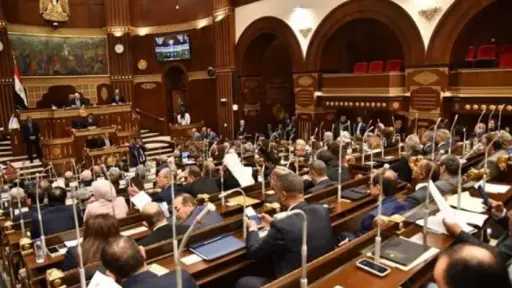 مجلس الشيوخ يوافق على ضم الهيئات البحثية والجامعات الأجنبية بقانون المستشفيات الجامعية