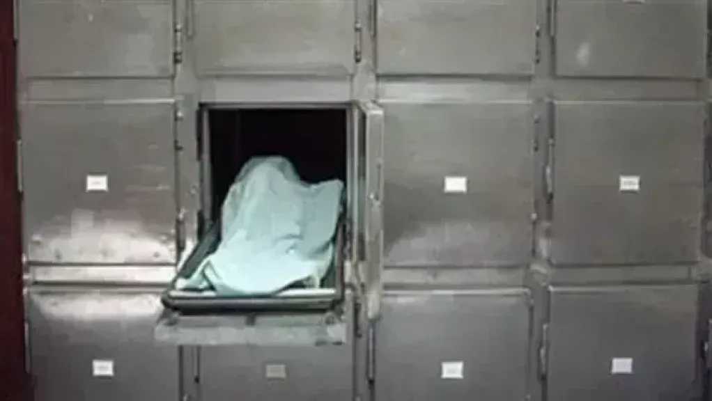 مصرع شخص إثر مشاجرة بين دليفري وصيدلي في حدائق الأهرام