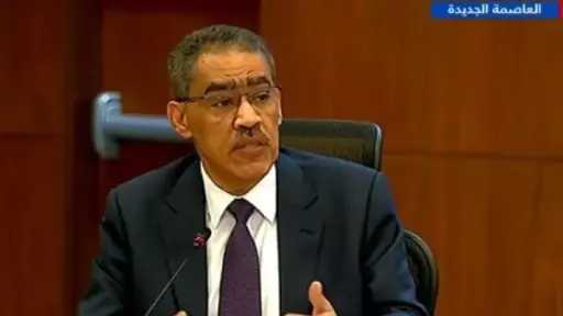 ضياء رشوان : الحكومة ليست المسؤولة عن أي محتوى يسيء للدول العربية