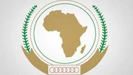 الاتحاد الإفريقي: إفريقيا تمتلك الإمكانات للقضاء على الجوع وينقصها سياسات واستثمارات أقوى