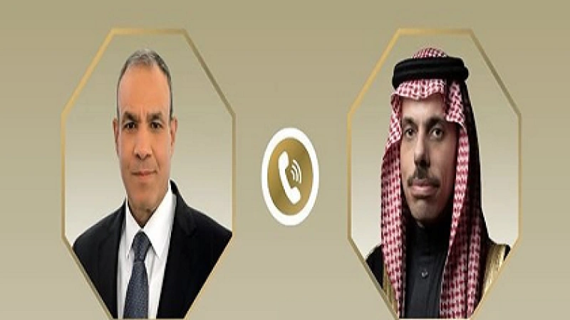 وزير الخارجية ونظيره السعودي