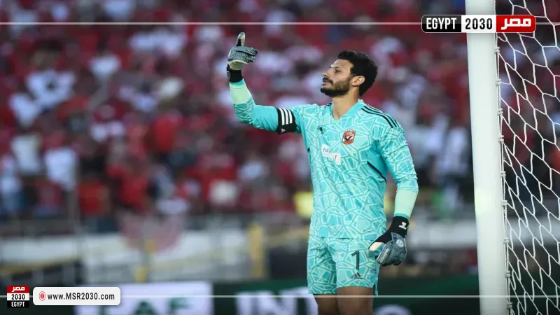 محمد الشناوي