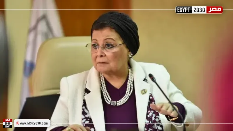 نائب وزير الصحة تعقد اجتماعات لدراسة جدوى نموذج رعاية القبالة