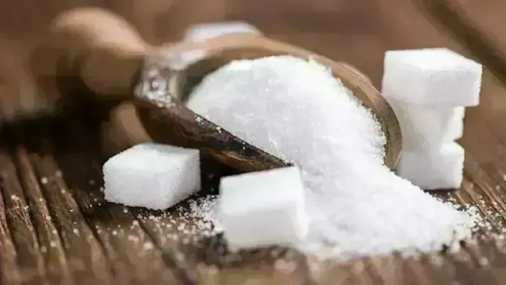 سعر طن السكر اليوم