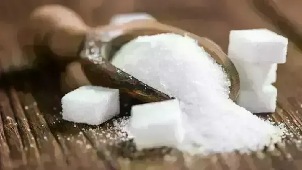 سعر طن السكر اليوم