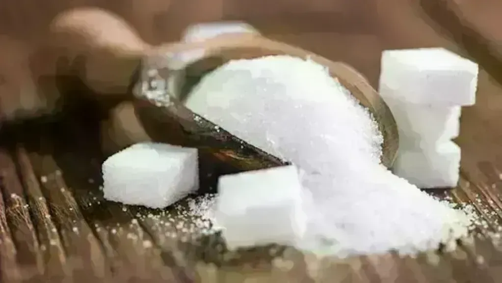 سعر طن السكر اليوم 