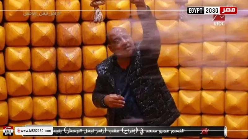 عمرو الدردير 