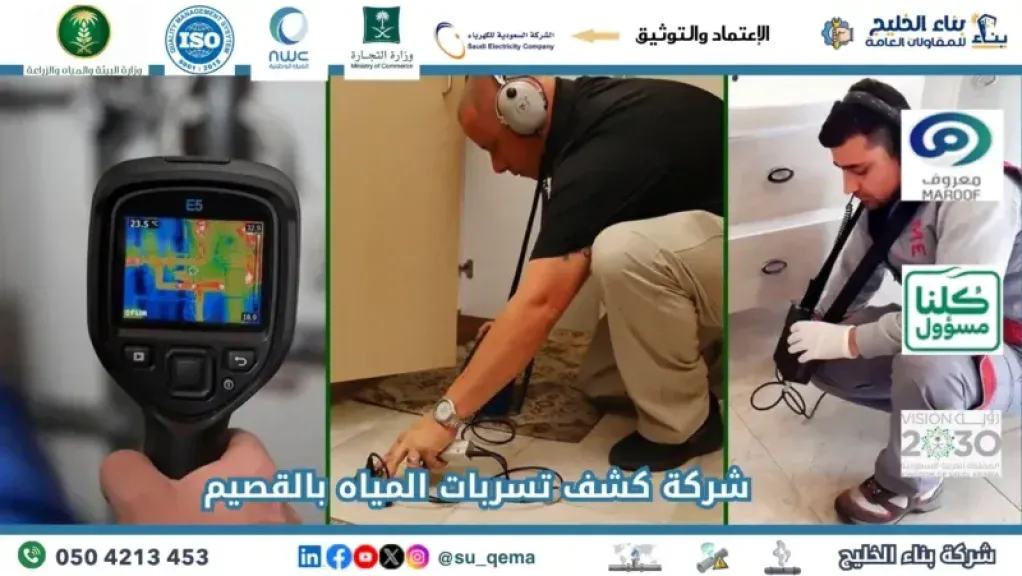 مصر 2030