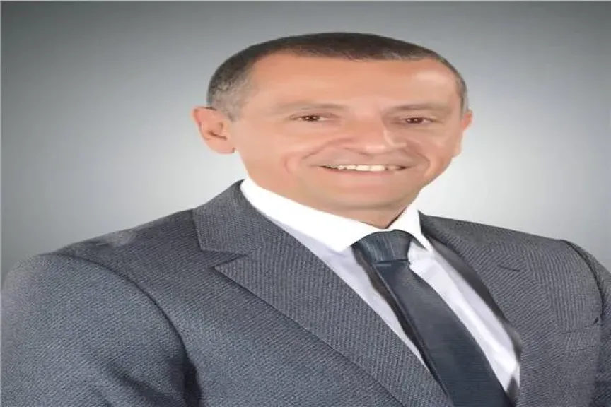 محافظ أسوان