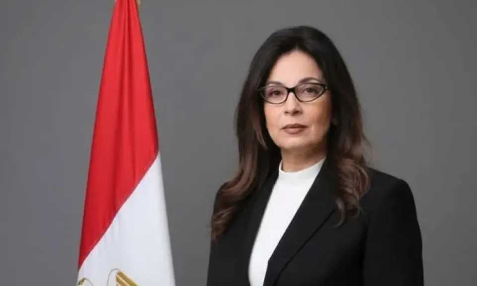 حبس محامي  3 سنوات وغرامة مالية في قضية سب وقذف وزيرة الثقافة