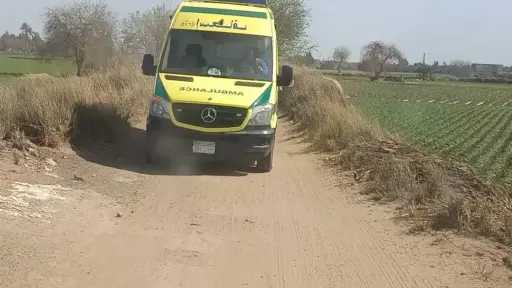 إصابة 7 عمال إثر انقلاب سيارة نصف نقل بكفر الزيات فى الغربية