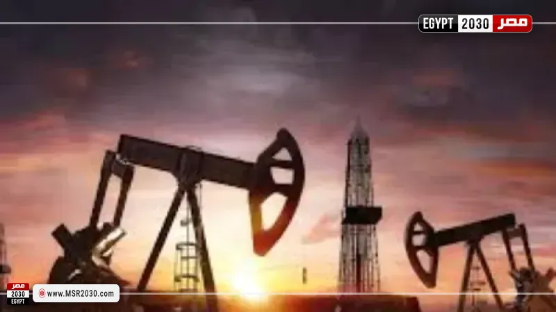 وكالة الطاقة الدولية