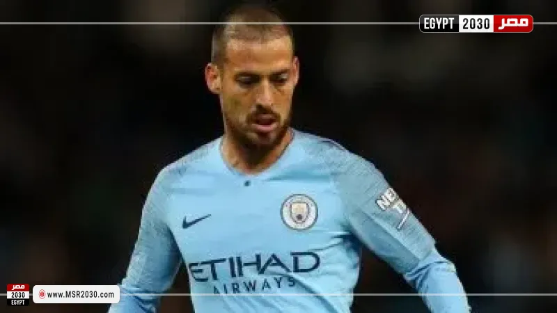  ديفيد سيلفا