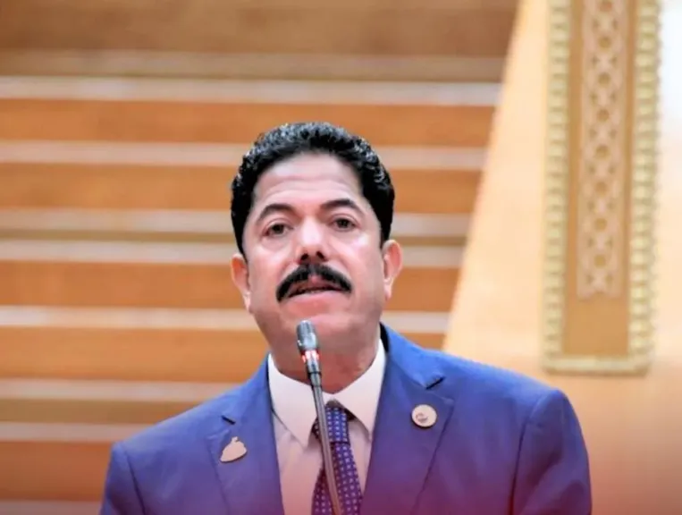 النائب علاء سليمان الحديوي، عضو مجلس النواب 