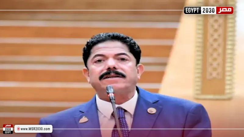 النائب علاء سليمان الحديوي، عضو مجلس النواب 