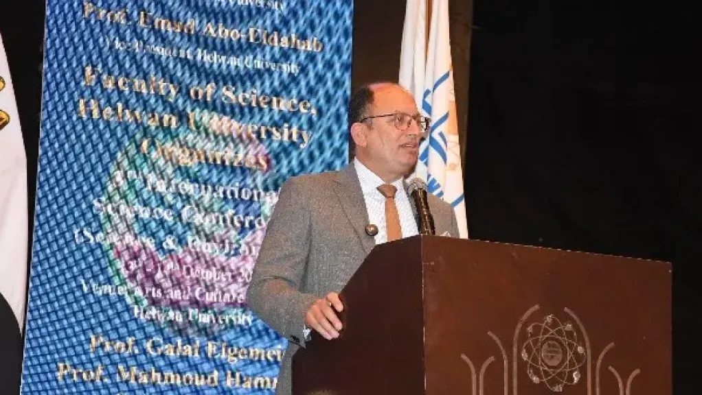 الدكتور السيد قنديل رئيس جامعة العاصمة