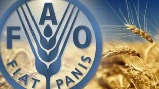 الفاو تحذر: 30% من تجارة الأسمدة مهددة بسبب إغلاق مضيق هرمز