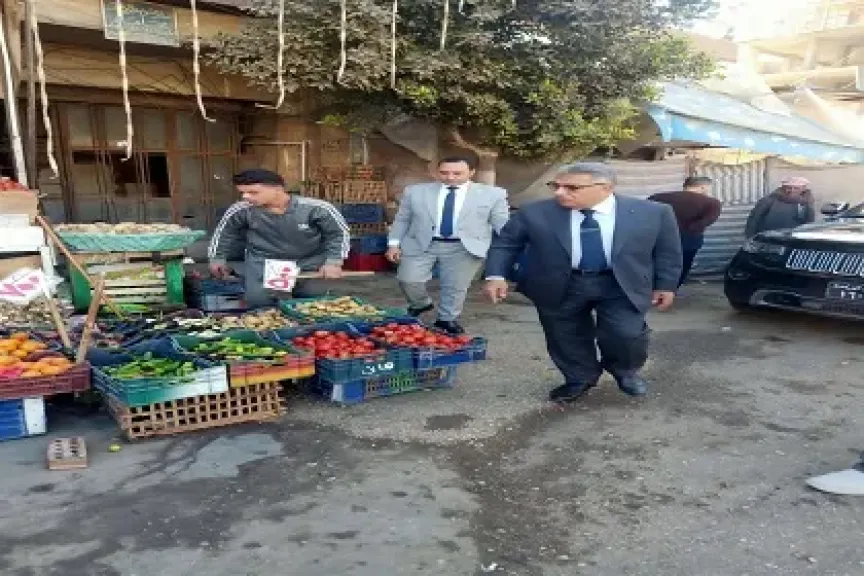 جولة تفقدية لمحافظ الدقهلية