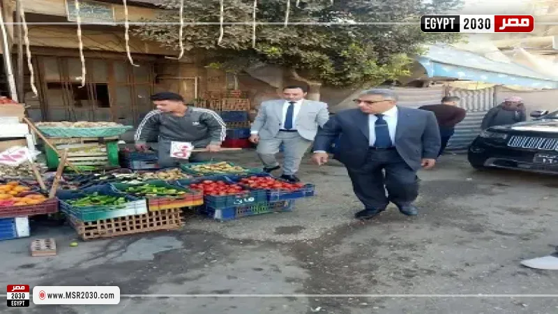 جولة تفقدية لمحافظ الدقهلية