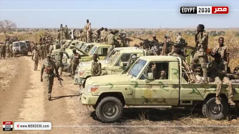 الجيش السوداني 