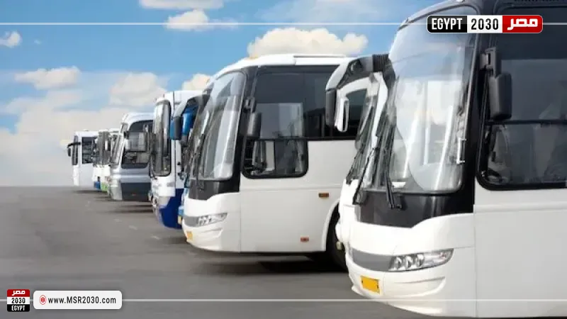 شركات السياحة: زيادة 10% على النقل السياحي تطبق أول إبريل