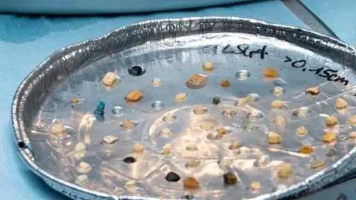 تلوث البلاستيك يضرب سواحل الأطلسي الجنوبية في المغرب