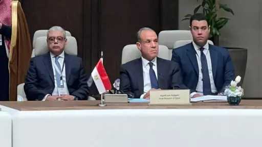 وزير الخارجية يشارك بالاجتماع التشاوري في الرياض ويؤكد تضامن مصر الكامل مع دول الخليج الشقيقة