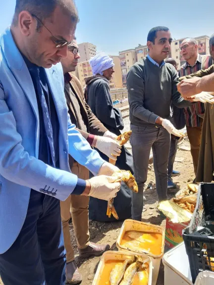 جولة مدير عام الطب البيطري بسوهاج