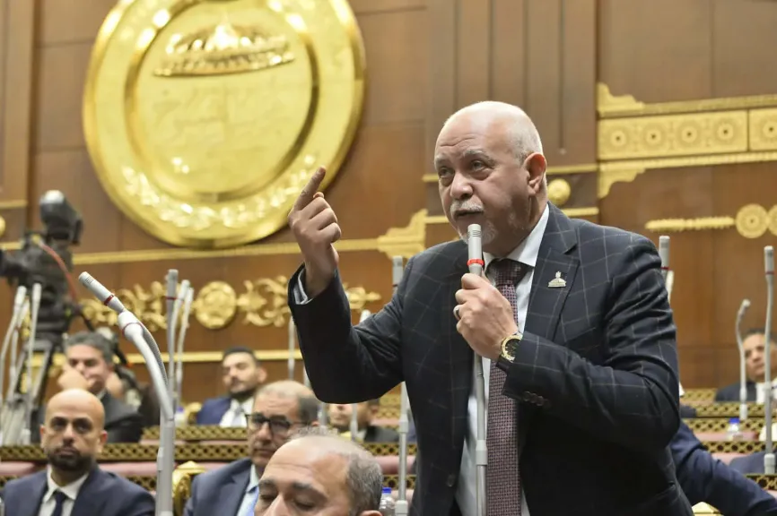 النائب حازم الجندي