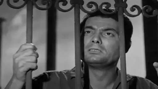 ذكرى رحيله شكري سرحان.. 29 عامًا على رحيل فتى الشاشة