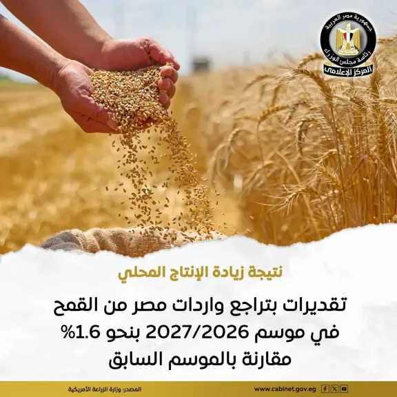 القمح في مصر