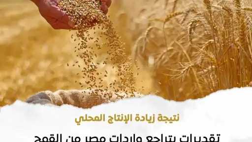 وزارة الزراعة الأمريكية تتوقع ارتفاع إنتاج القمح في... وزارة الزراعة الأمريكية تتوقع ارتفاع إنتاج القمح في مصر لـ 9.8 مليون طن