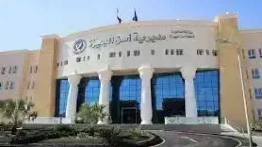 القبض على عاطلين لاعتدائهما على سائق وسرقة 30... القبض على عاطلين لاعتدائهما على سائق وسرقة 30 ألف جنيه في بولاق الدكرور