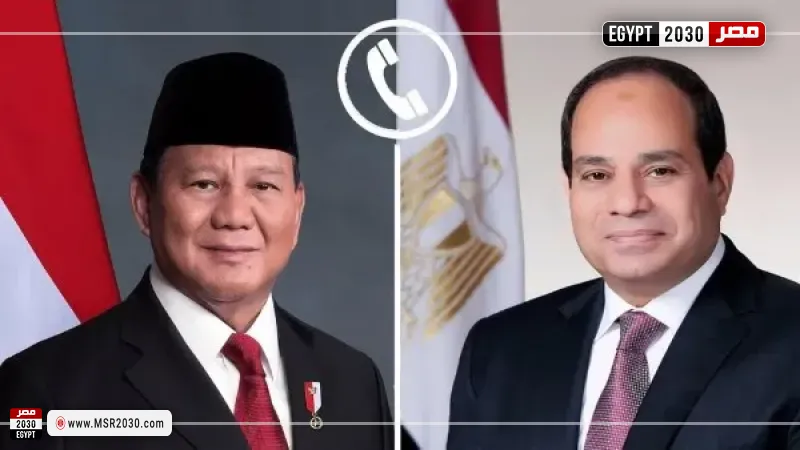 الرئيس السيسى ونظيره الإندونيسي