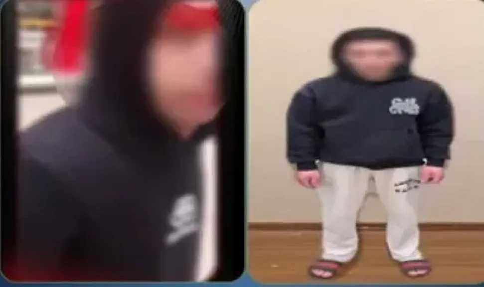 ضبط طالب تحرش وسعى لسرقة هاتف فتاة أثناء سيرها بالشارع