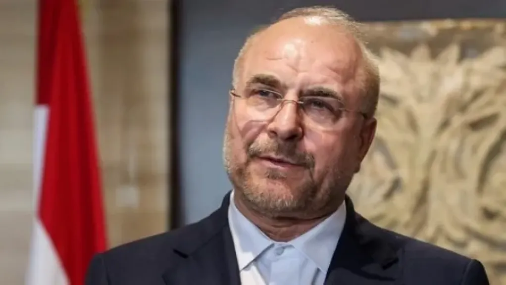  رئيس البرلمان الإيراني